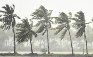 రాష్ట్రవ్యాప్తంగా వరుణుడి విలయం.. రెండ్రోజుల్లో పిడుగుపాటుకు తొమ్మిది మంది బలి..!