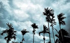 కేరళంను తాకిన నైరుతి రుతుపవనాలు…