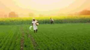 తెలంగాణ రైతులకు కేంద్రం గుడ్‌న్యూస్….